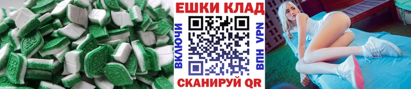 ЭКСТАЗИ Philipp Plein  ОМГ ОМГ ТОР  Новокузнецк 