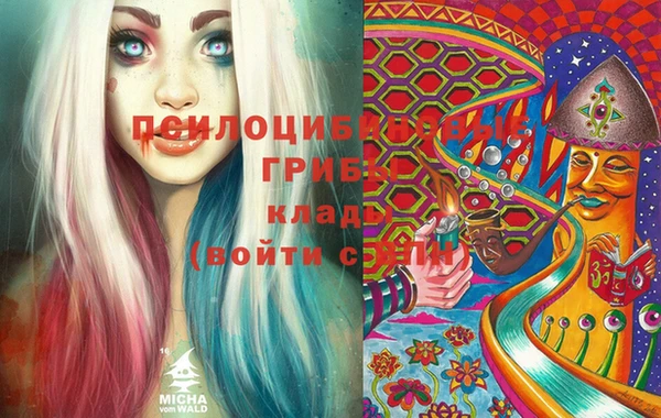 стаф Мегион