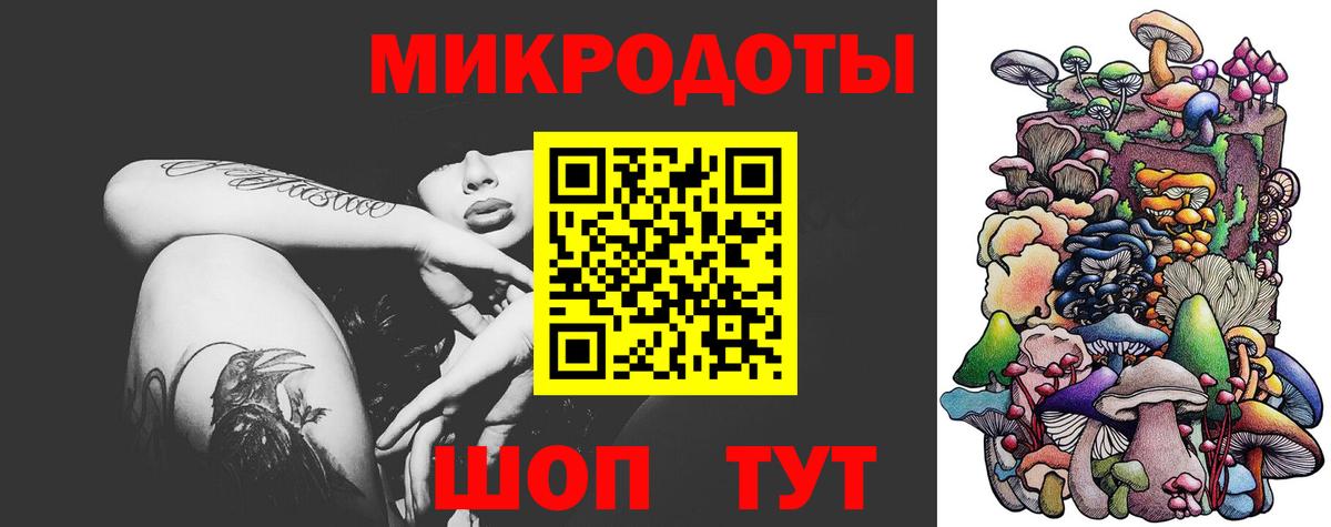 Галлюциногенные грибы мицелий Новокузнецк