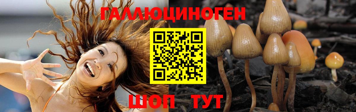 Галлюциногенные грибы Magic Shrooms  Вход с VPN  Новокузнецк 